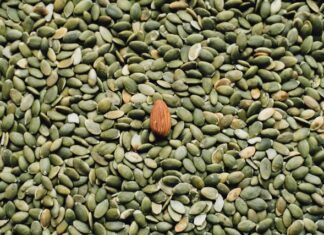 How to roast pumpkin seeds?